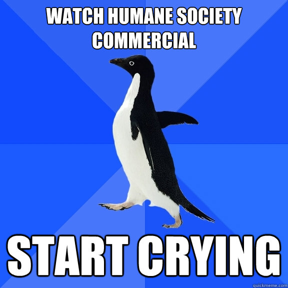 watch humane society commercial start crying   Socially Awkward Penguin