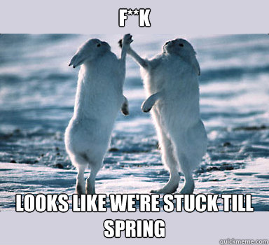 f**k looks like we're stuck till spring  Bunny Bros