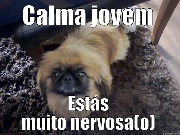 CALMA JOVEM ESTÁS MUITO NERVOSA(O) Misc