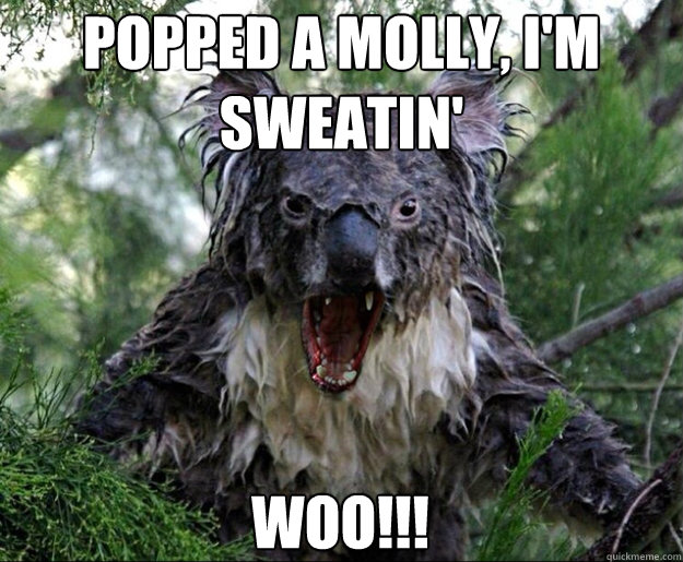 Popped a Molly, I'm Sweatin' Woo!!!  