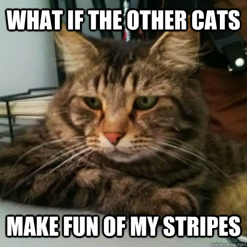 What if the other cats make fun of my stripes  Serious Cat