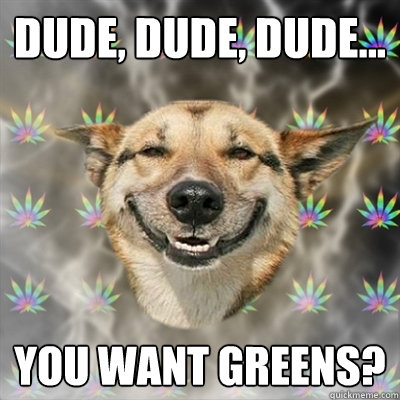 Dude, dude, dude... you want greens?  Stoner Dog