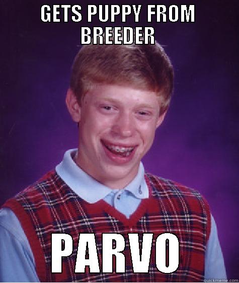 GETS PUPPY FROM BREEDER PARVO Bad Luck Brian
