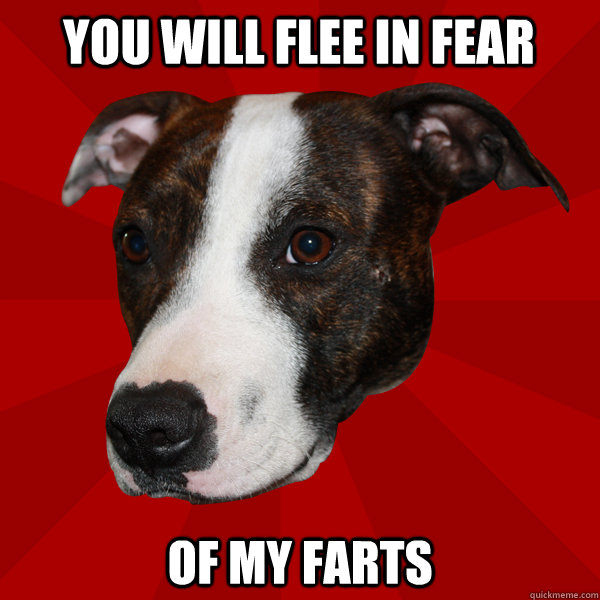 You will flee in fear of my farts - You will flee in fear of my farts  Vicious Pitbull Meme