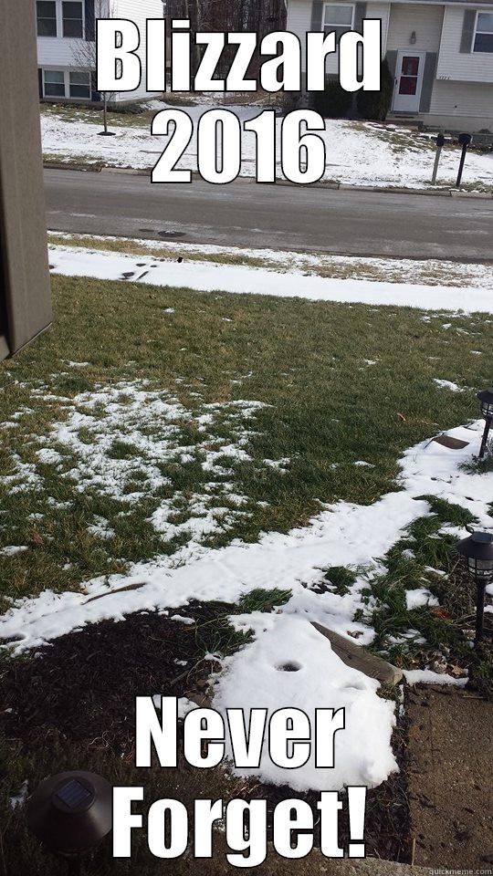 BLIZZARD 2016 NEVER FORGET! Misc