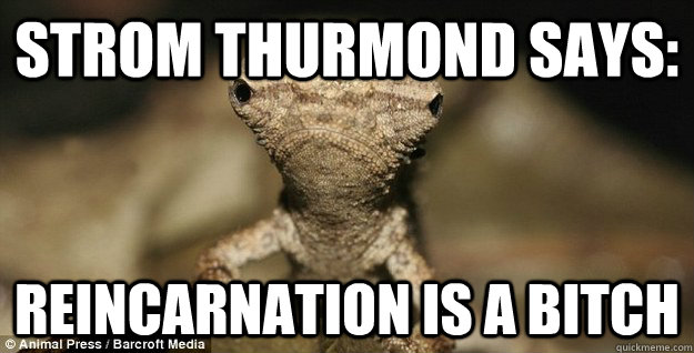 STROM THURMOND SAYS: REINCARNATION IS A BITCH - STROM THURMOND SAYS: REINCARNATION IS A BITCH  Misc