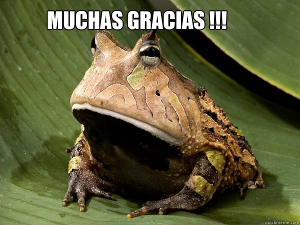 Muchas Gracias !!! - Muchas Gracias !!!  SAPO