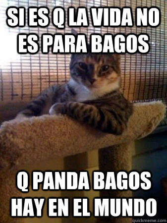 Si es q la vida no es para bagos q panda bagos hay en el mundo  The Most Interesting Cat in the World
