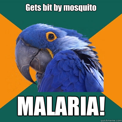 Gets bit by mosquito MALARIA!  Paranoid Parrot