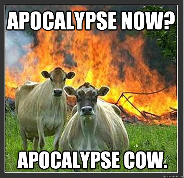 Apocalypse now? Apocalypse cow. - Apocalypse now? Apocalypse cow.  Evil cows
