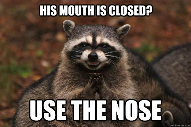 His mouth is closed? Use the Nose - His mouth is closed? Use the Nose  Evil Plotting Raccoon