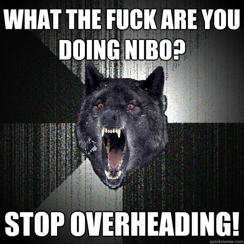 What the fuck are you doing Nibo? STOP OVERHEADING!  Insanity Wolf