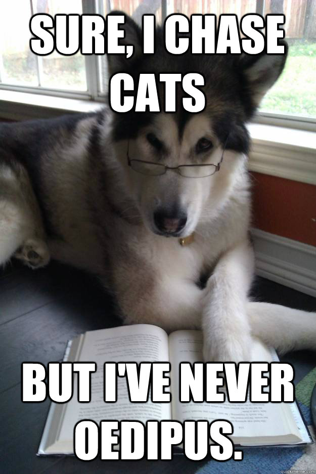 Sure, I chase cats but i've never Oedipus. - Sure, I chase cats but i've never Oedipus.  Condescending Literary Pun Dog