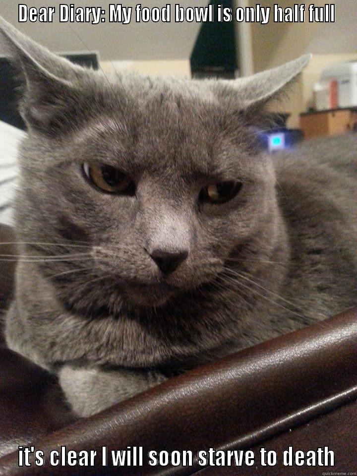 DEAR DIARY: MY FOOD BOWL IS ONLY HALF FULL IT'S CLEAR I WILL SOON STARVE TO DEATH Misc