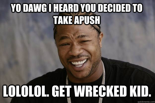 YO DAWG I HEARD YOU DECIDED TO TAKE APUSH LOLOLOL. GET WRECKED KID.   Xzibit meme