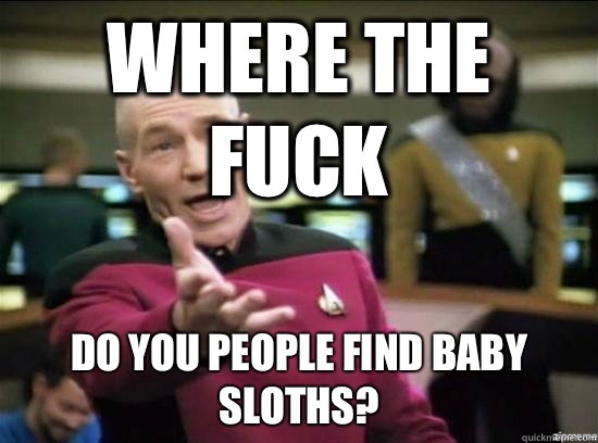 Where the fuck Do you people find baby sloths?  Annoyed Picard HD
