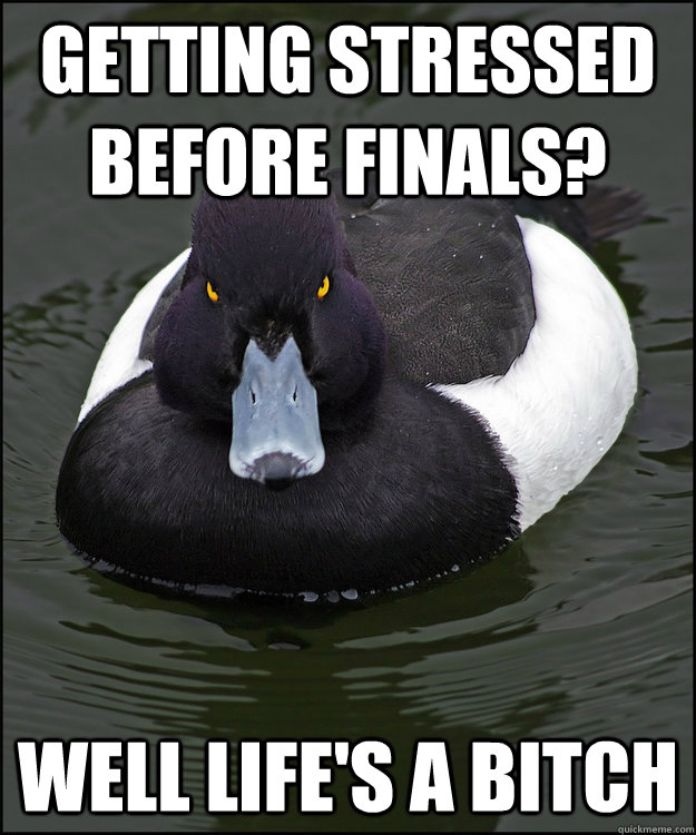 Getting stressed before finals? Well life's a bitch  Angry Advice Duck