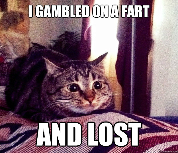 i gambled on a fart and lost - i gambled on a fart and lost  slightly shellshocked cat