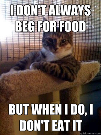 I don't always beg for food but when I do, I don't eat it  The Most Interesting Cat in the World
