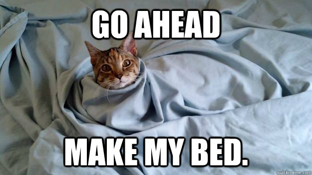 Go ahead Make my bed. - Go ahead Make my bed.  Misc