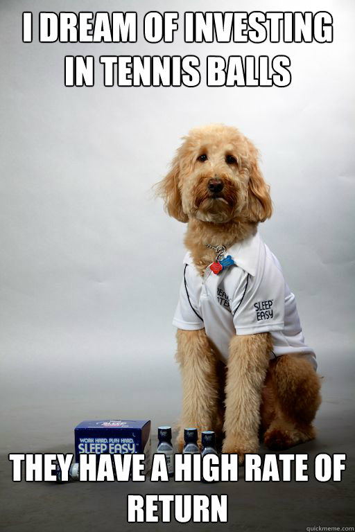 I dream of investing in tennis balls they have a high rate of return - I dream of investing in tennis balls they have a high rate of return  Dreamy Duke Doghouser
