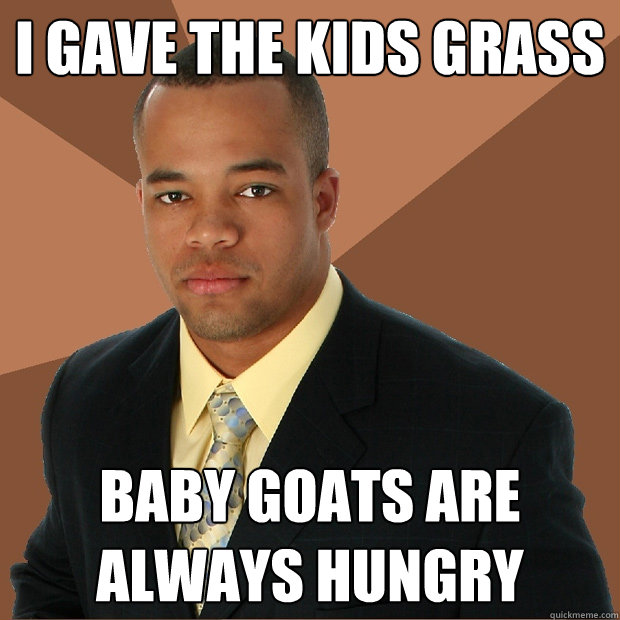 i gave the kids grass baby goats are always hungry  Successful Black Man
