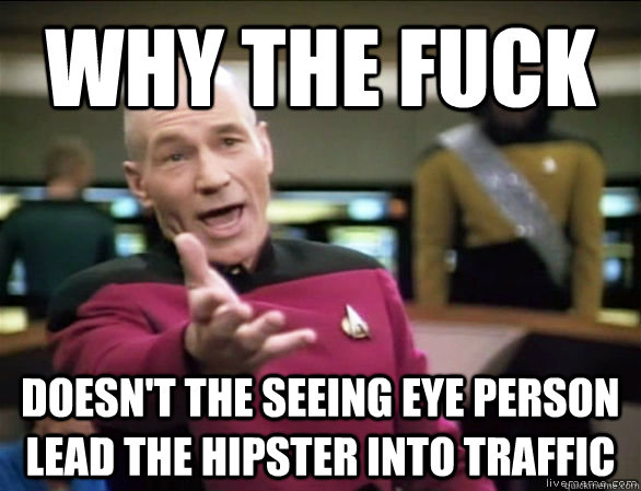 why the fuck doesn't the seeing eye person lead the hipster into traffic  Annoyed Picard HD