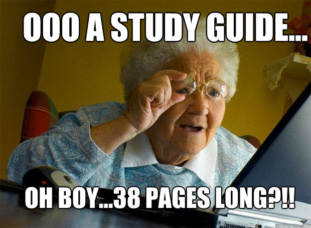 Ooo a Study Guide... oh boy...38 pages long?!!  Grandma finds the Internet