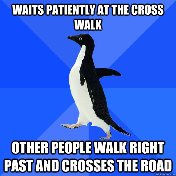 waits patiently at the cross walk other people walk right past and crosses the road  Socially Awkward Penguin