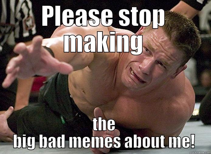 PLEASE STOP MAKING THE BIG BAD MEMES ABOUT ME! Misc