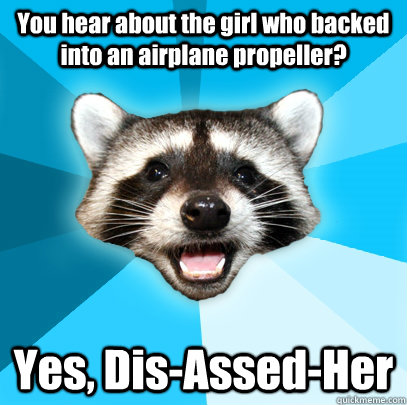You hear about the girl who backed into an airplane propeller? Yes, Dis-Assed-Her  Lame Pun Coon