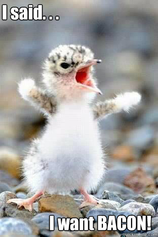 I said. . . I want BACON!  