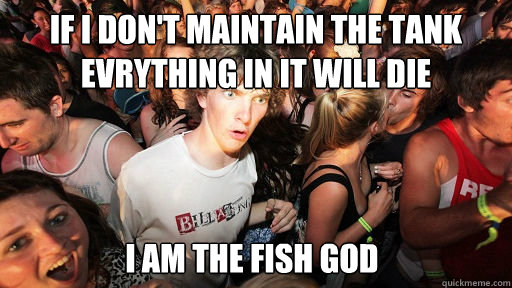 if i don't maintain the tank evrything in it will die i am the fish god  Sudden Clarity Clarence