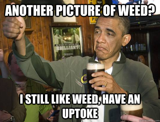 another picture of weed? I still like weed, have an uptoke - another picture of weed? I still like weed, have an uptoke  Upvoting Obama