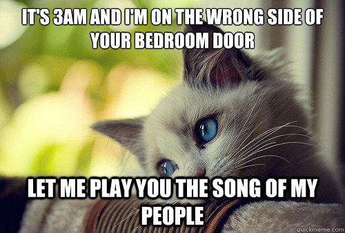It's 3am and I'm on the wrong side of your bedroom door let me play you the song of my people  First World Problems Cat