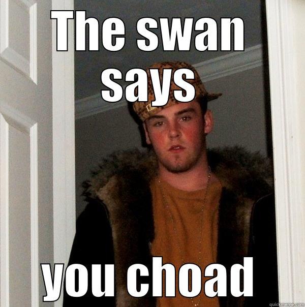 THE SWAN SAYS YOU CHOAD Scumbag Steve