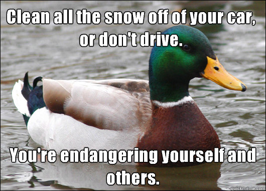 Clean all the snow off of your car, or don't drive. You're endangering yourself and others.  Actual Advice Mallard
