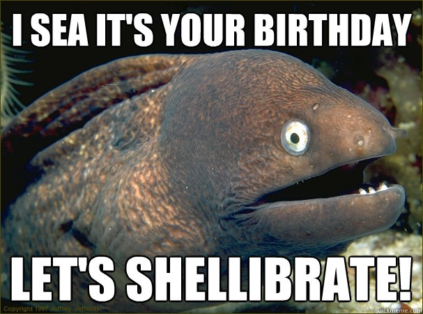 I sea it's your birthday let's shellibrate!  Bad Joke Eel