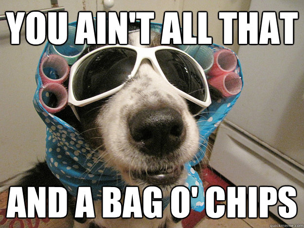 You ain't all that and a bag o' chips  Sassy Dog
