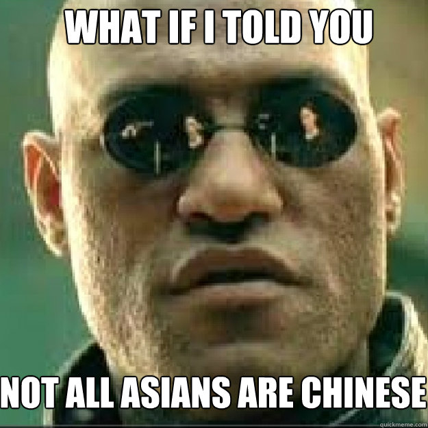 WHAT IF I TOLD YOU not all asians are chinese Caption 3 goes here  