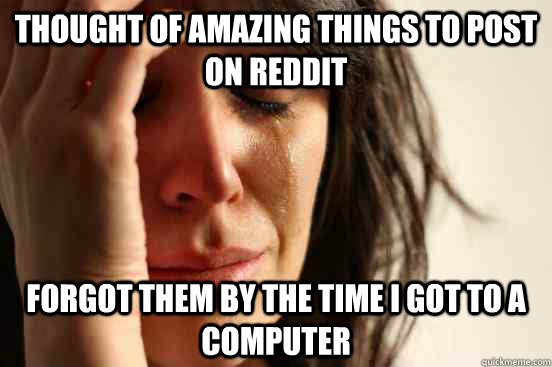 Thought of amazing things to post on reddit forgot them by the time i got to a computer  First World Problems