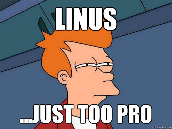 Linus ...Just too pro  Futurama Fry