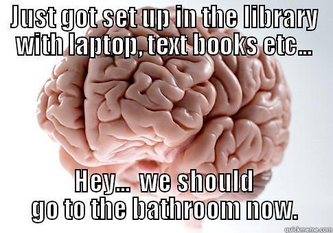 JUST GOT SET UP IN THE LIBRARY WITH LAPTOP, TEXT BOOKS ETC... HEY...  WE SHOULD GO TO THE BATHROOM NOW. Scumbag Brain