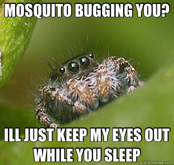 MOSQUITO BUGGING YOU? ILL JUST KEEP MY EYES OUT WHILE YOU SLEEP - MOSQUITO BUGGING YOU? ILL JUST KEEP MY EYES OUT WHILE YOU SLEEP  Misunderstood Spider