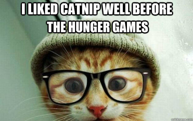 I liked Catnip well before The Hunger Games - I liked Catnip well before The Hunger Games  Cute Hipster Cat