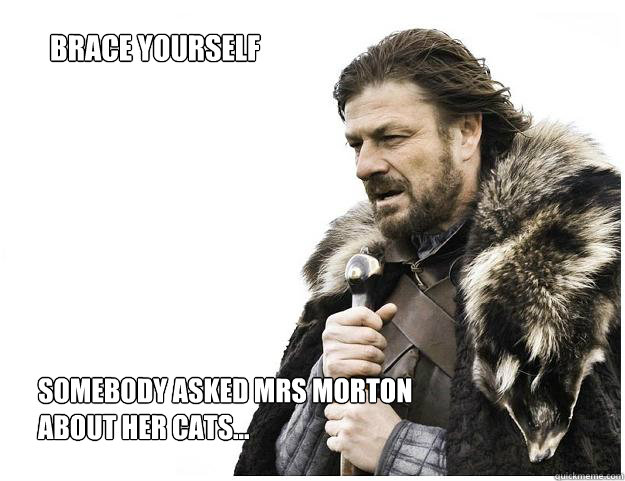 Somebody asked Mrs Morton about her cats... BRACE YOURSELF  Imminent Ned