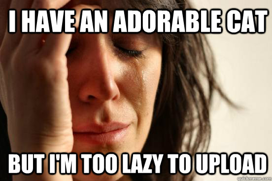 I have an adorable cat but I'm too lazy to upload   1st World Problems