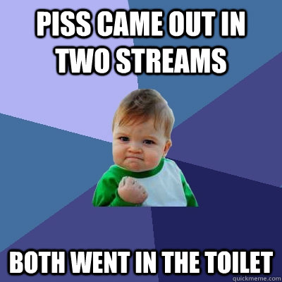 Piss came out in two streams both went in the toilet  Success Kid