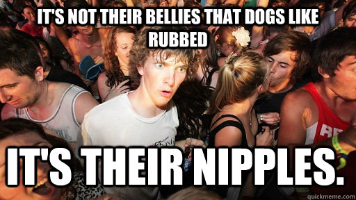 It's not their bellies that dogs like rubbed It's their nipples.  Sudden Clarity Clarence