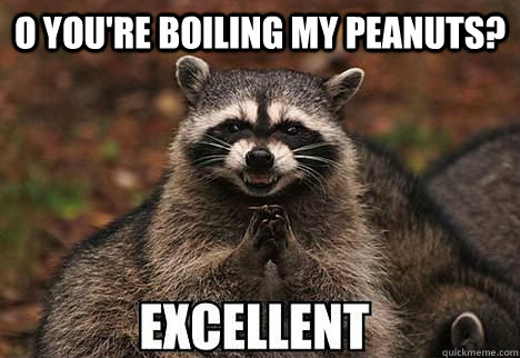 o you're boiling my peanuts?   evil racoon